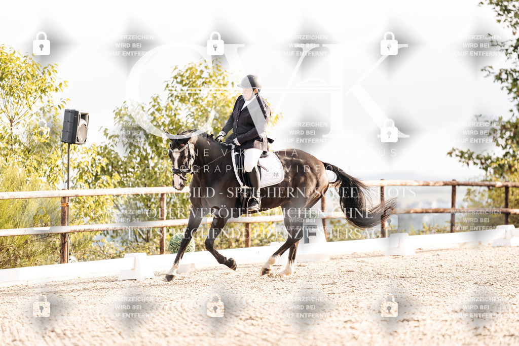CK900340 | Turnierfotografie Pferdefotografie Trier Rheinland-Pfalz Pferdesport Reitsport Tierfotografie Sportfotografie Pferdevideo Pferdevideografie Equestrianvideography equestrianphotography  - Realisiert mit Pictrs.com