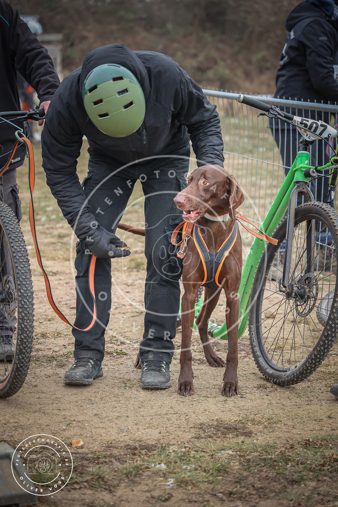 Pfotenfotografie_0L8A2188 | Hundefotografie, Tierfotograf, Pfotenfotografie, Fotoshooting Hund, Hunde Portrait, Hundesport, Hundeportraits, Heideshooting, Hunde, Sportfotograf, Hundefotograf, Turnierhundsport, THS,  - Realisiert mit Pictrs.com