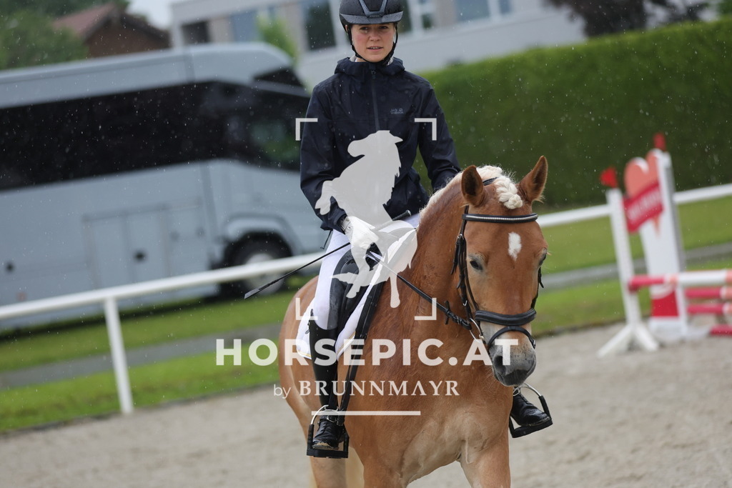 0P6A7623 | Willkommen bei Brunnmayr - Design & Fotografie – Ihrem Spezialisten für Reitturniere und Pferdeveranstaltungen in Oberösterreich, Salzburg und Bayern! Seit über 17 Jahren sind wir leidenschaftlich dabei.