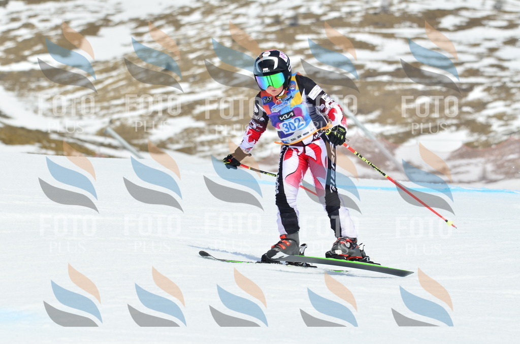 _ELE2213 | holidayphoto