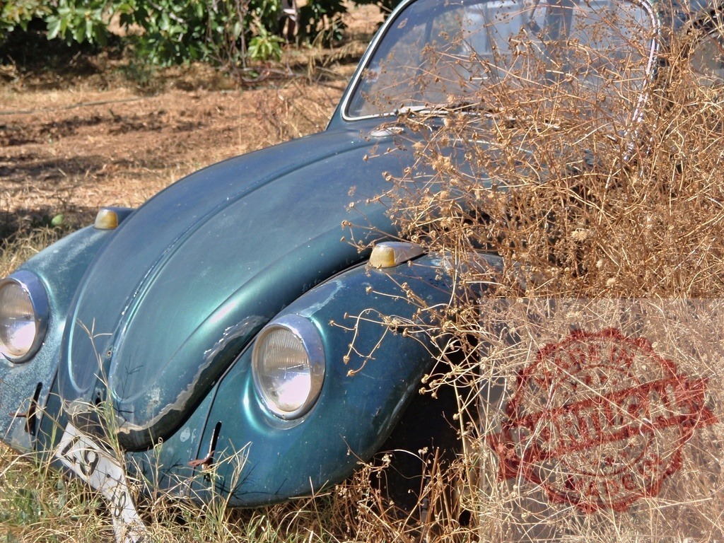 Vintage Volkswagen Beetle abandoned in dry brown weeds | Classic turquoise VW Beetle sits abandoned among dried weeds in outdoor setting - Realized with Pictrs.com