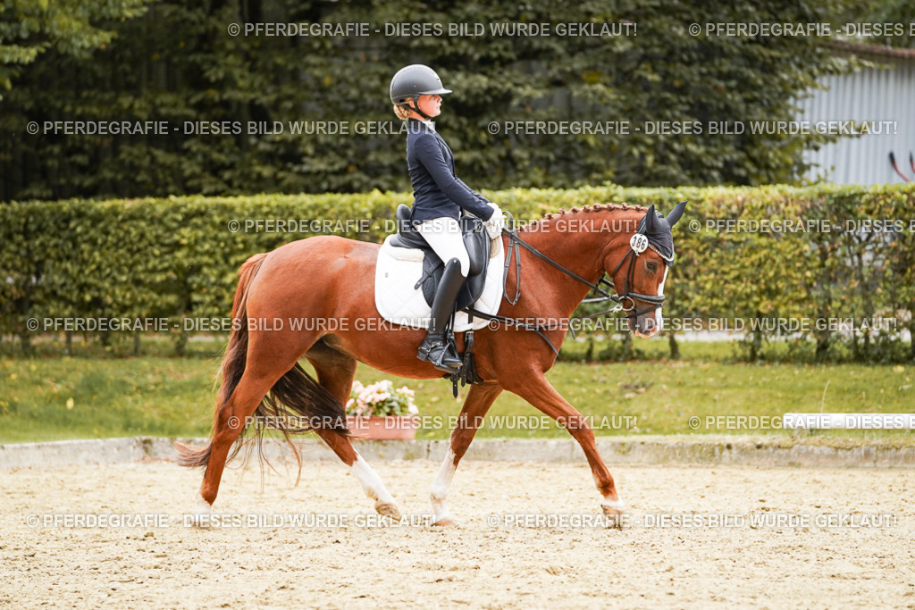 DSC09810 | Pferdegrafie