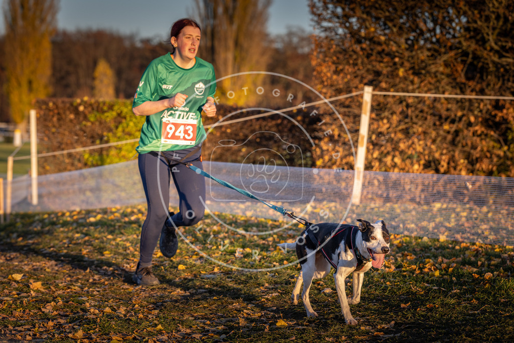 CaniXpix_DV3A5477 | Hundefotografie, Tierfotograf, Pfotenfotografie, Fotoshooting Hund, Hunde Portrait, Hundesport, Hundeportraits, Heideshooting, Hunde, Sportfotograf, Hundefotograf, Turnierhundsport, THS,  - Realisiert mit Pictrs.com