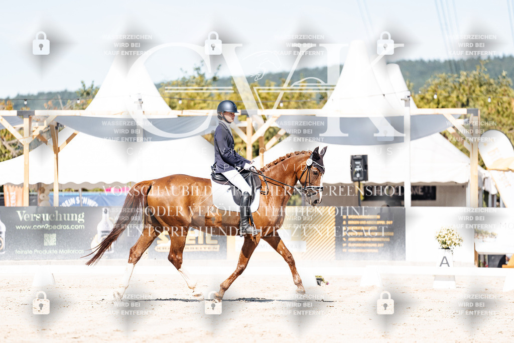 CK909365 | Turnierfotografie Pferdefotografie Trier Rheinland-Pfalz Pferdesport Reitsport Tierfotografie Sportfotografie Pferdevideo Pferdevideografie Equestrianvideography equestrianphotography  - Realisiert mit Pictrs.com