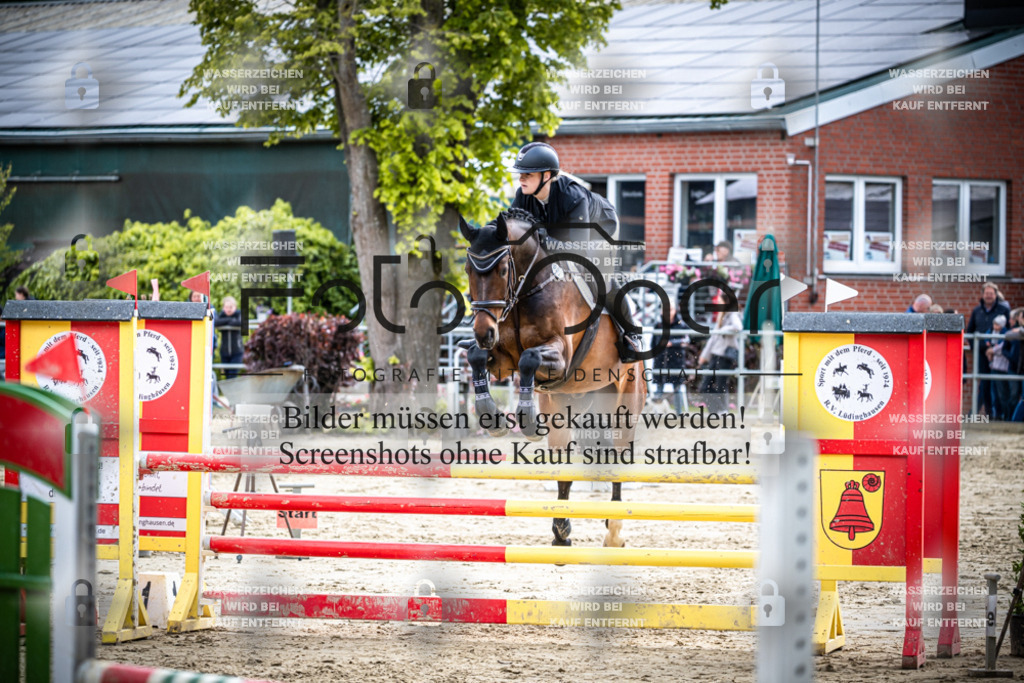 DOS_2568 | Reitturnier Lüdinghausen - Realisiert mit Pictrs.com