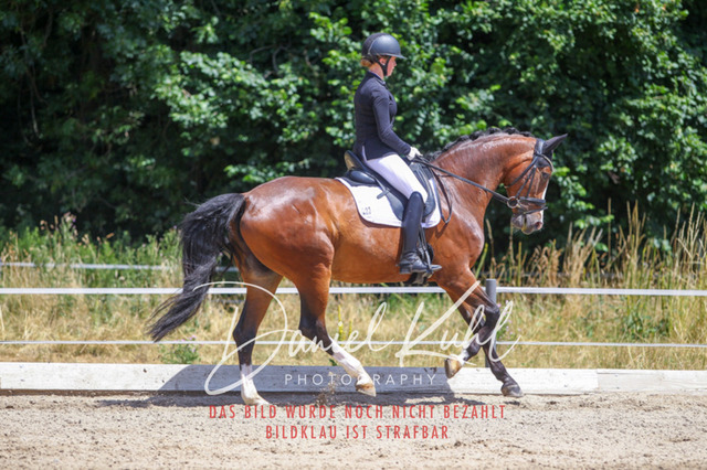 DKP46344 | Turniersportfotografie; Pferdefotografie; Dressurfotografie