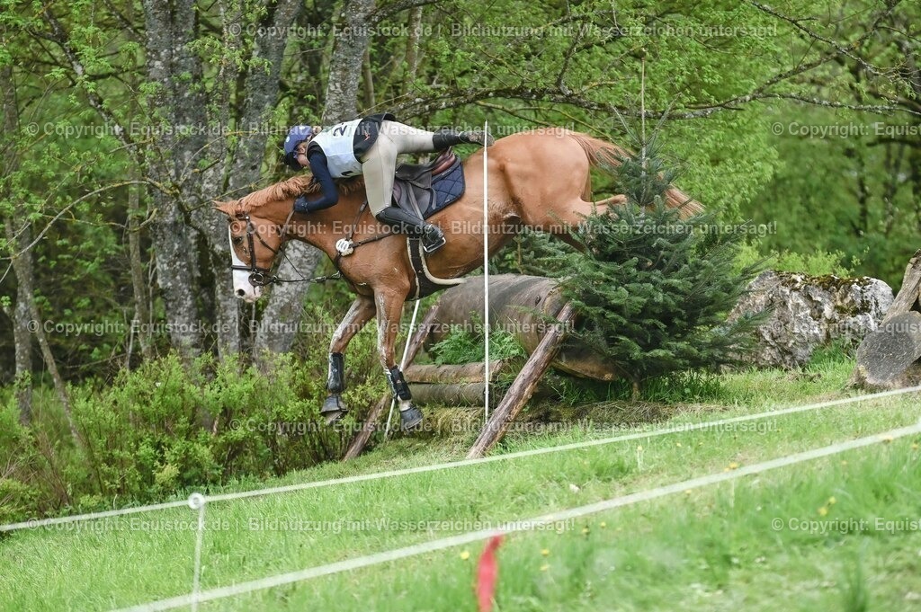 20230513_CCI2_Section2_Gelände_0058 | equistock