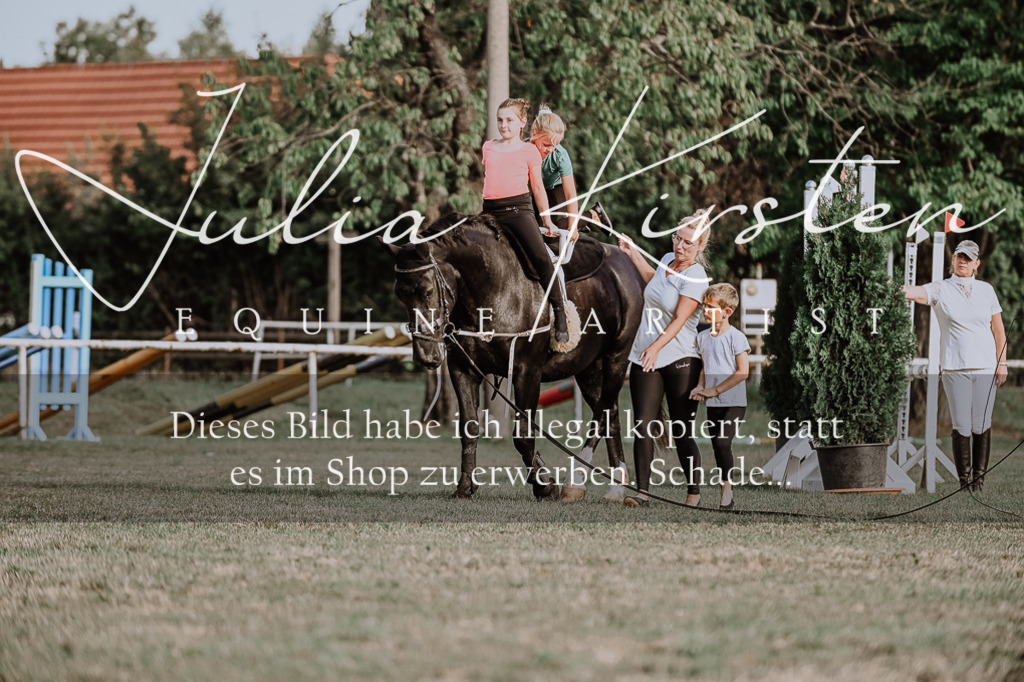 DSC_0016 | Pferde- und Turnierfotografie in Westsachsen. Pferdeportraits, Auftragszeichnungen und intuitive Kunst.