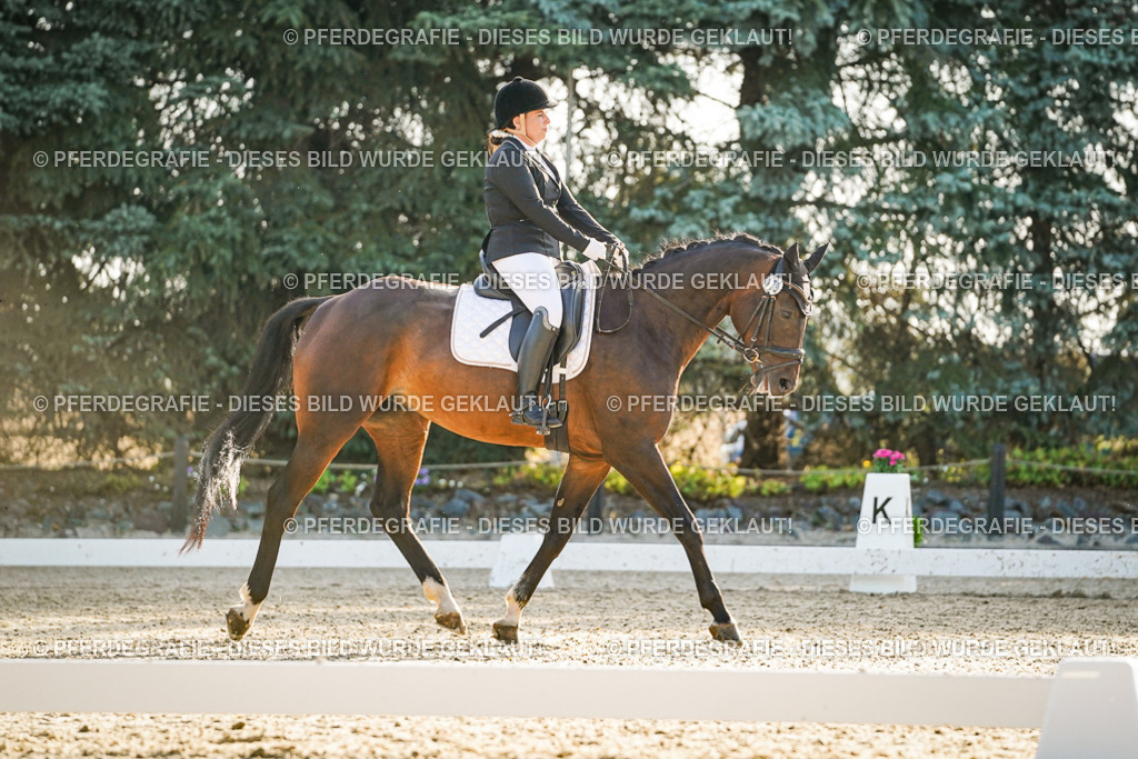 DSC07973 | Pferdegrafie