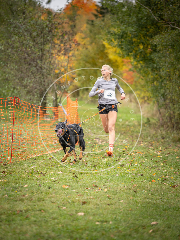 Pfotenfotografie_DV3A2423 | Hundefotografie, Tierfotograf, Pfotenfotografie, Fotoshooting Hund, Hunde Portrait, Hundesport, Hundeportraits, Heideshooting, Hunde, Sportfotograf, Hundefotograf, Turnierhundsport, THS,  - Realisiert mit Pictrs.com