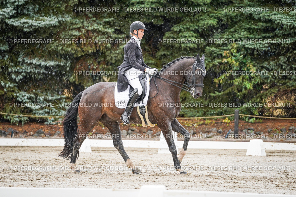 DSC08932 | Pferdegrafie