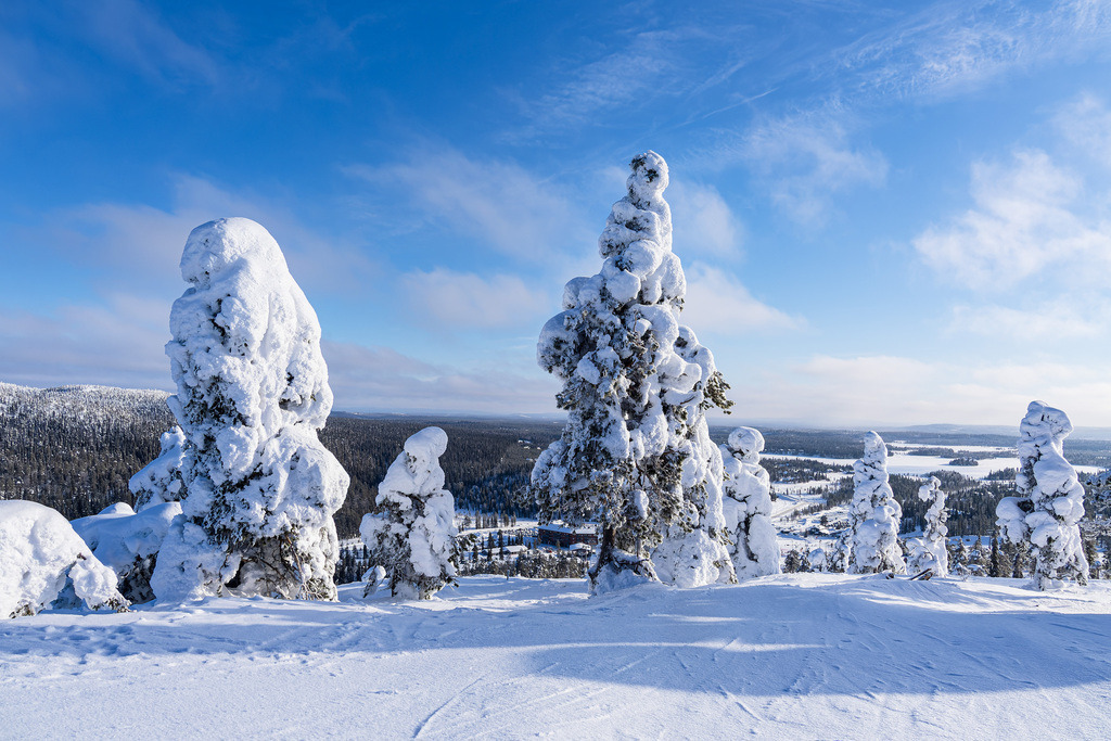 Landschaft mit Schnee im Winter in Ruka, Finnland | Landschaft mit Schnee im Winter in Ruka, Finnland.