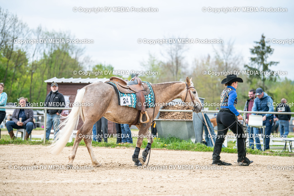 Heiligenwald Tag 2-2457 | dv-media-shop - Realisiert mit Pictrs.com