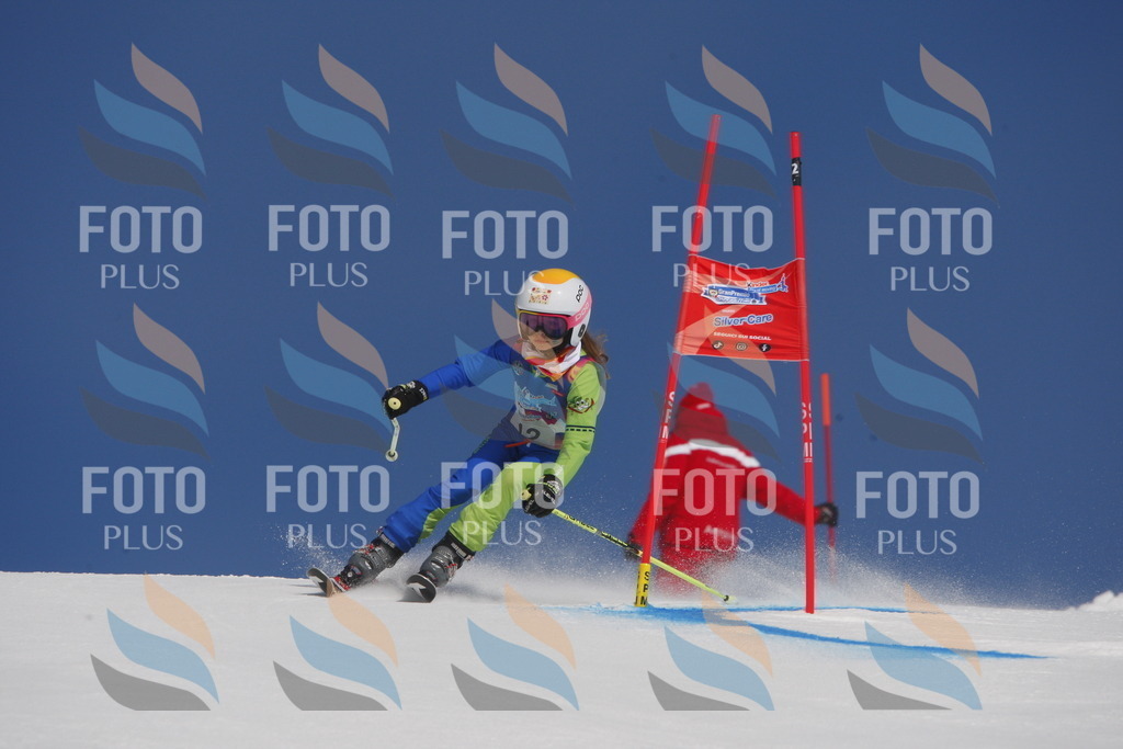 _W1G0148 | holidayphoto