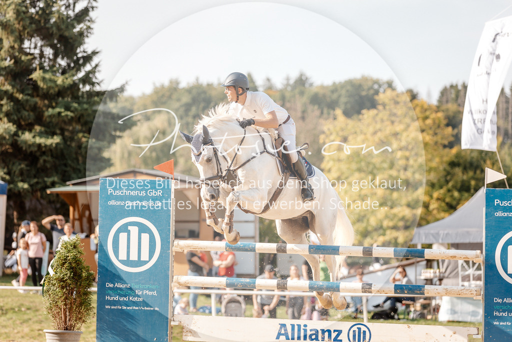 3I6A5072 | Stimmungsvolle Portraits und Reitsportfotografie im Ruhrgebiet und im Münsterland.

Pferdefotografie, Hundefotografie, Tierfotografie, Reportagen, Portraits von Tier und Mensch, Turnierfotografie in Bochum, Recklinghausen, Marl, Haltern am See, Dülmen.. - Realisiert mit Pictrs.com