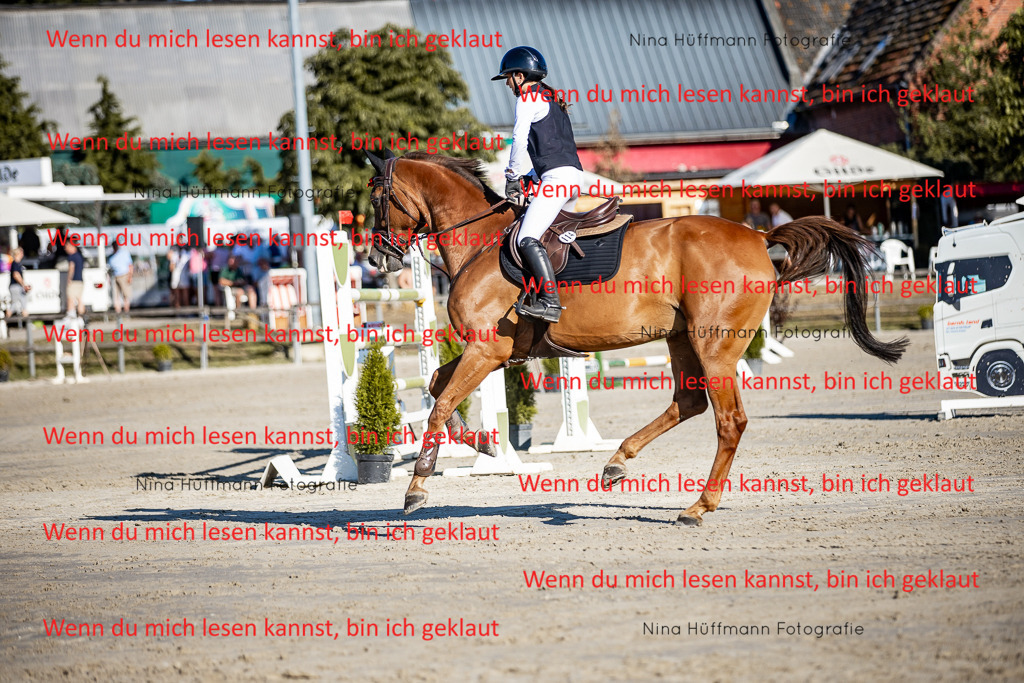 BK1A8212 | Turnierbilder Turnierfotos Nina Hüffmann Turnierfotografie Pferdefotografie Tierzeichnung Haustierzeichnung Pferdezeichnung Hundezeichnung Videograf  - Realisiert mit Pictrs.com