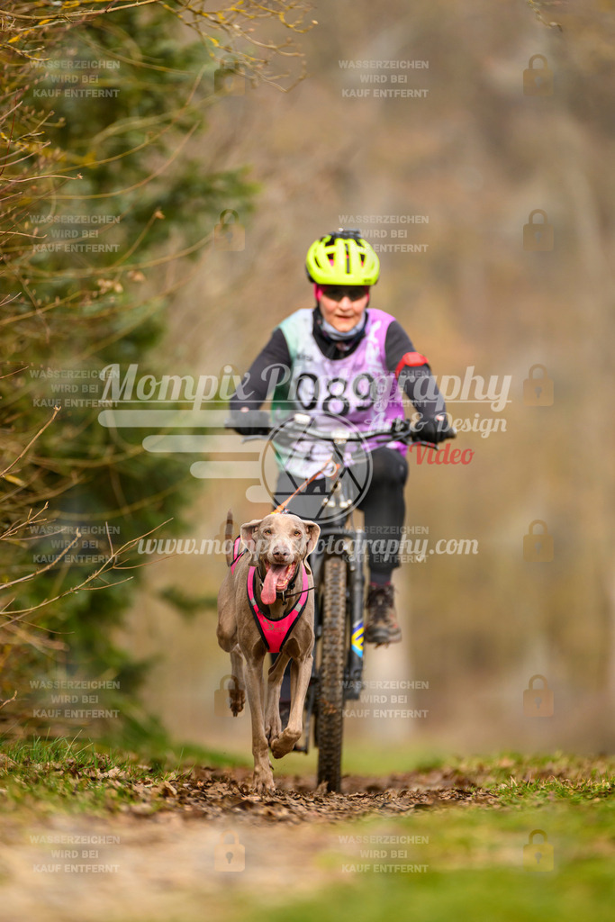 MompixPhotography_Schwabentrail2024_Bike-70 | PayLife