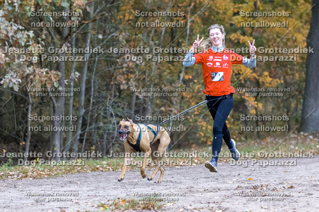 Dog Paparazzi - SD CaniX Championship 2025-298 | Dog Paparazzi Jeanette Grottendiek Fotografie & Videografie - Realisiert mit Pictrs.com