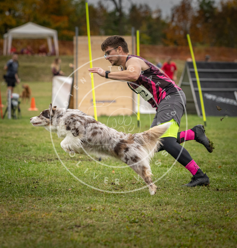 Pfotenfotografie_DV3A9799 | Hundefotografie, Tierfotograf, Pfotenfotografie, Fotoshooting Hund, Hunde Portrait, Hundesport, Hundeportraits, Heideshooting, Hunde, Sportfotograf, Hundefotograf, Turnierhundsport, THS,  - Realisiert mit Pictrs.com