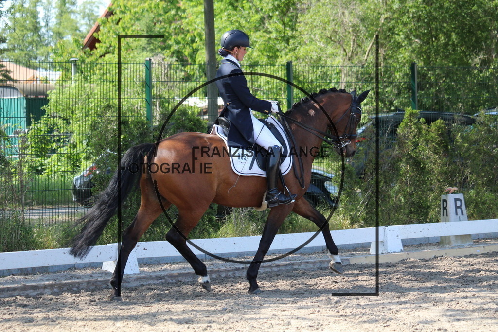 IMG_5243 | franziskalange - Realisiert mit Pictrs.com