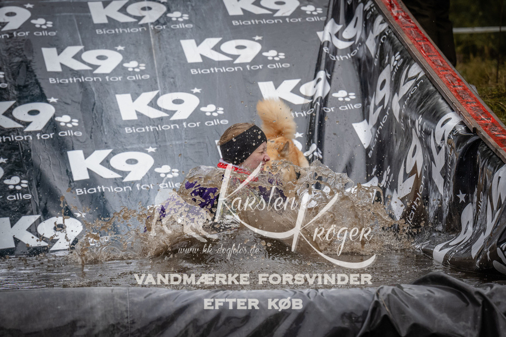 1117_ZZ92503 | kk-dogfotos