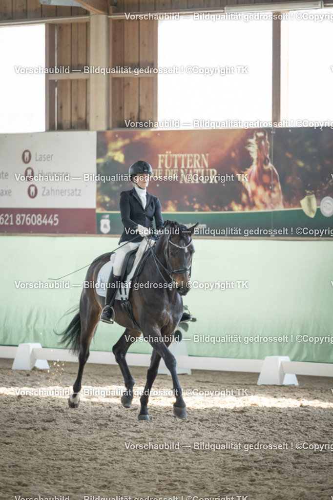 _D5A2744 | Emotionale Pferde- & People-Fotografie rund um Heidelberg, Leimen & Umgebung. Natürliche Fotos von Pferd, Mensch & Familie. Jetzt Termin sichern!