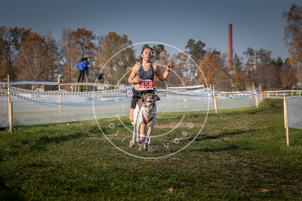 CaniXpix_0L8A9202 | Hundefotografie, Tierfotograf, Pfotenfotografie, Fotoshooting Hund, Hunde Portrait, Hundesport, Hundeportraits, Heideshooting, Hunde, Sportfotograf, Hundefotograf, Turnierhundsport, THS,  - Realisiert mit Pictrs.com