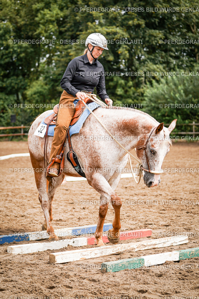 DSC04162 | Pferdegrafie