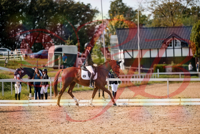 2026_10_03_Siefer-Hof_132856_Z63_90521190 | Professionelle Reitsport-, Turnier- und Eventfotografie von Robert Broda. Galerien mit ausgewählten und bearbeiteten Bildern direkt online ansehen und bestellen.