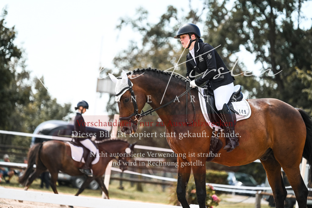 DSC_5679 | Pferde- und Turnierfotografie in Westsachsen. Pferdeportraits, Auftragszeichnungen und intuitive Kunst.