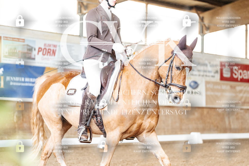 CK900724 | Turnierfotografie Pferdefotografie Trier Rheinland-Pfalz Pferdesport Reitsport Tierfotografie Sportfotografie Pferdevideo Pferdevideografie Equestrianvideography equestrianphotography  - Realisiert mit Pictrs.com