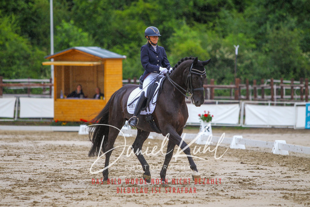 DKP46873 | Turniersportfotografie; Pferdefotografie; Dressurfotografie