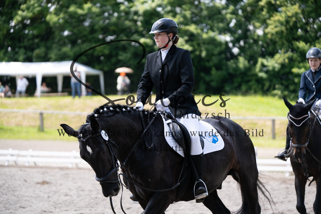 A7V02960 | Pferdefotograf