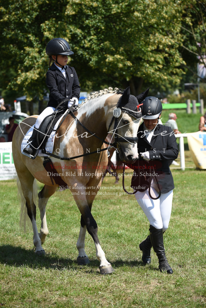 DSC_9841 | Pferde- und Turnierfotografie in Westsachsen. Pferdeportraits, Auftragszeichnungen und intuitive Kunst.