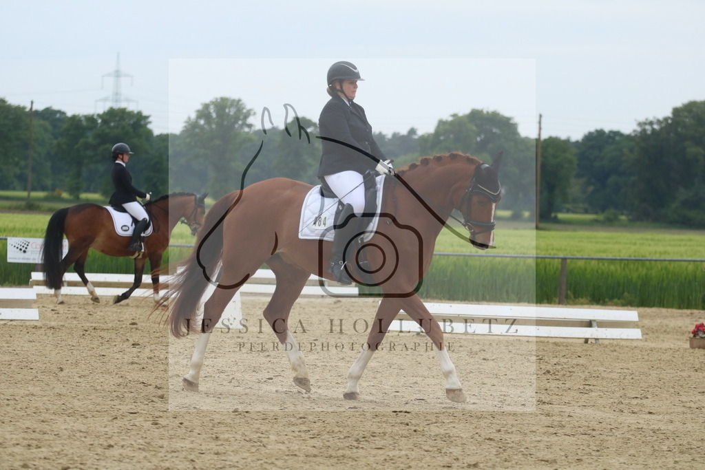 IMG_5811 | jessicahollubetz_pferdephotographie - Realisiert mit Pictrs.com