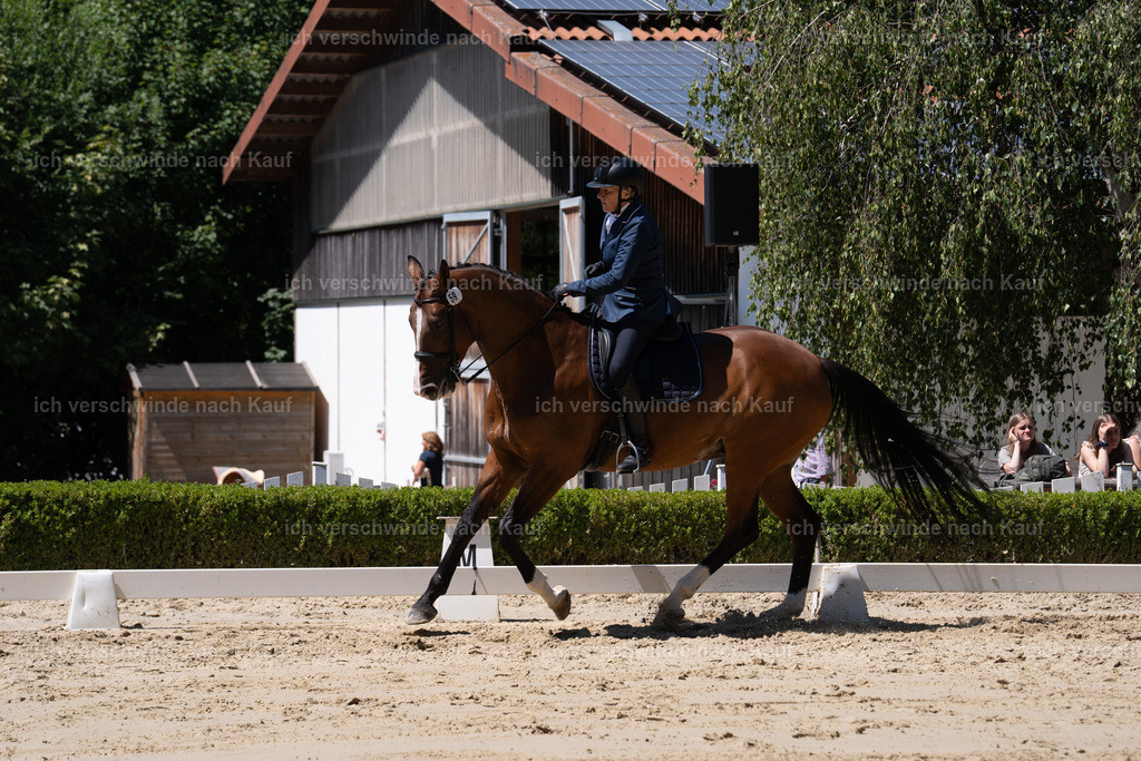 WS_DR_59_sinafilmart_IN02913 | working equitationturnier fotograf videograf stoibphotography marixx film working equitation deutschland reitsport turnierfotografie eventfotografie equestrian events