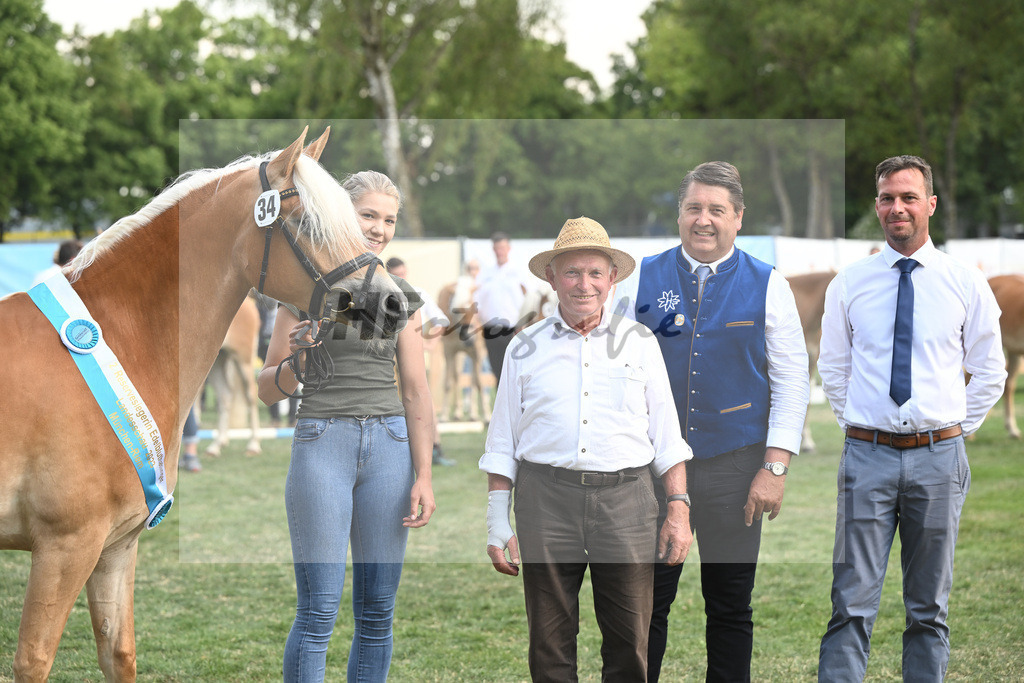 Kat-Nr. 34 Heikena-Gold_Karrer_20231551 | hf-fotografie - Realisiert mit Pictrs.com