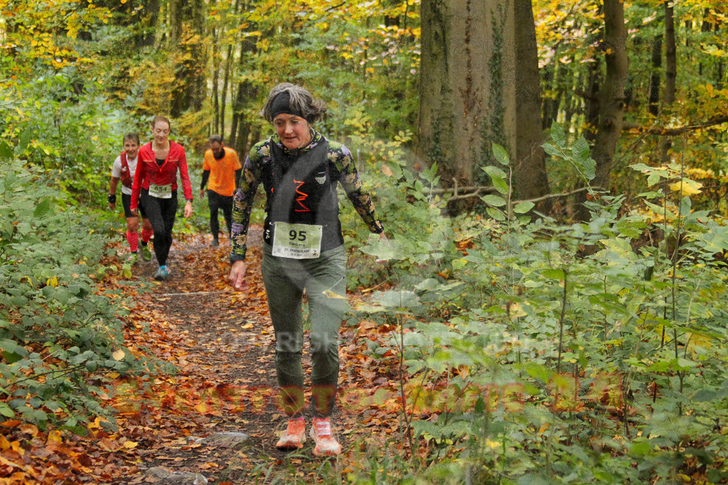 251026_1251_EV4_5958 | Sportfotografie im Rhein-Sieg Kreis, Köln, Bonn, NRW, Rheinland Pfalz, Hessen, etc. Unser Tätigkeitsfeld umfasst den Laufsport vom Volkslauf über den Marathon, Duathlon, Triathon bis zum Ultralauf wie Kölnpfad Ultra oder Schindertrail.
