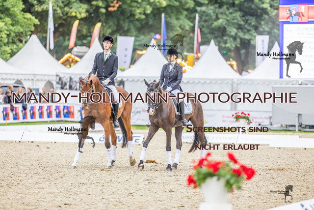 25.7.25 D1 59 (913 von 1569) | mandyhollmannphotographie