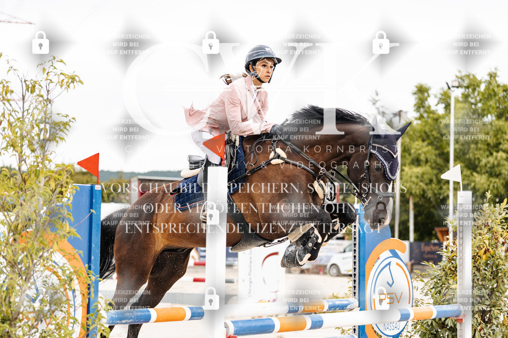 CK906319 | Turnierfotografie Pferdefotografie Trier Rheinland-Pfalz Pferdesport Reitsport Tierfotografie Sportfotografie Pferdevideo Pferdevideografie Equestrianvideography equestrianphotography  - Realisiert mit Pictrs.com
