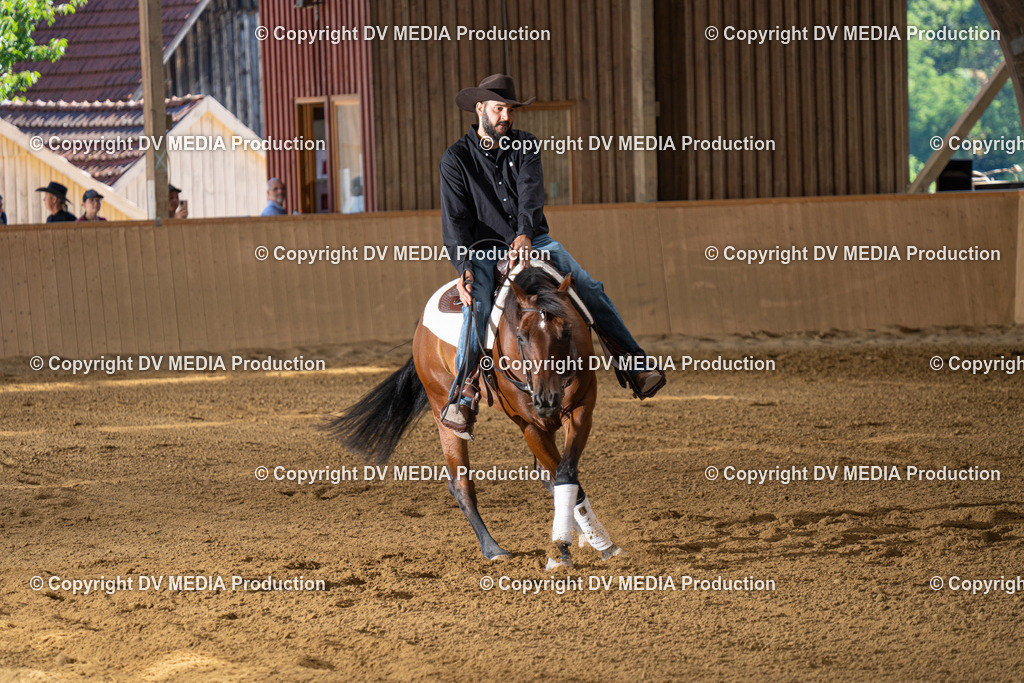 DSC00132 | dv-media-shop - Realisiert mit Pictrs.com