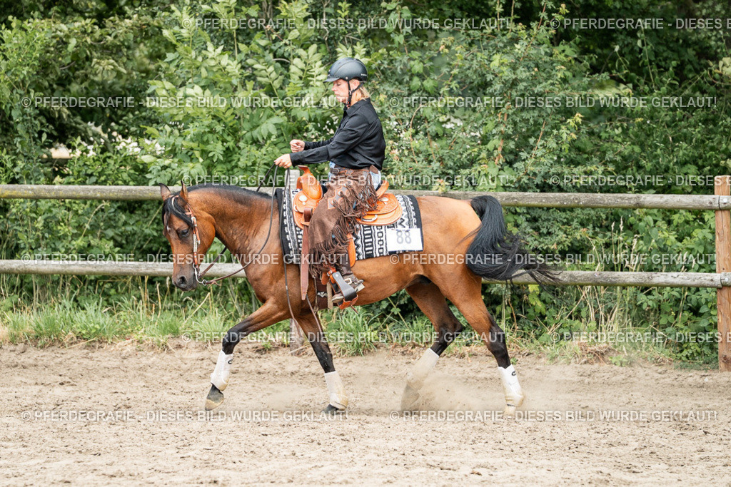 DSC01952 | Pferdegrafie