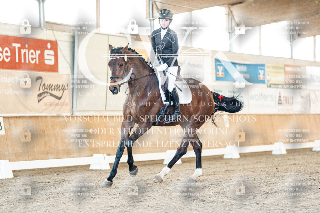 CK906527 | Turnierfotografie Pferdefotografie Trier Rheinland-Pfalz Pferdesport Reitsport Tierfotografie Sportfotografie Pferdevideo Pferdevideografie Equestrianvideography equestrianphotography  - Realisiert mit Pictrs.com