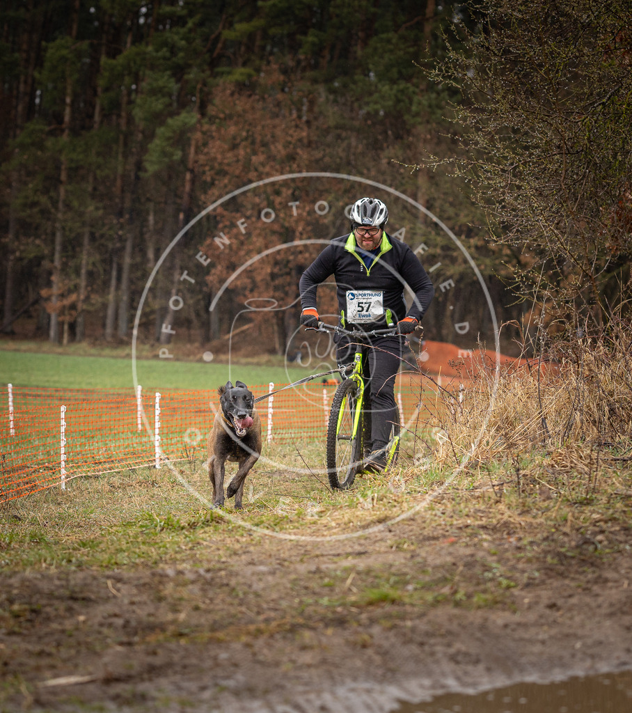 DV3A9472 | Hundefotografie, Tierfotograf, Pfotenfotografie, Fotoshooting Hund, Hunde Portrait, Hundesport, Hundeportraits, Heideshooting, Hunde, Sportfotograf, Hundefotograf, Turnierhundsport, THS,  - Realisiert mit Pictrs.com