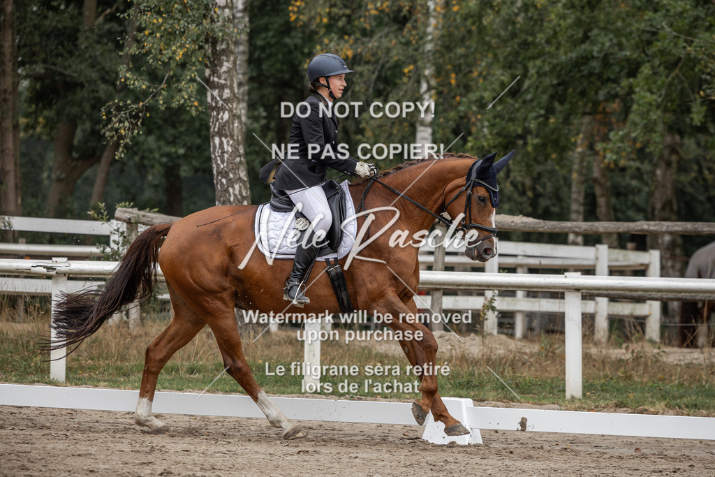 nelerasche_DrL_Ede_74 | nelerasche