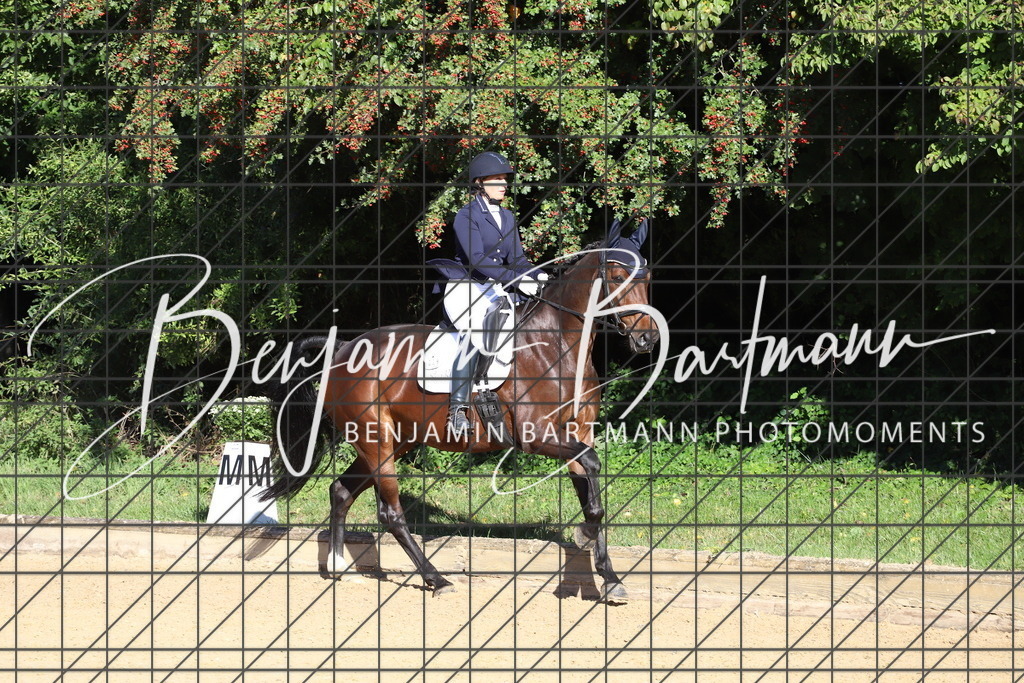 IMG_5029 | Benjamin Bartmann Photomoments