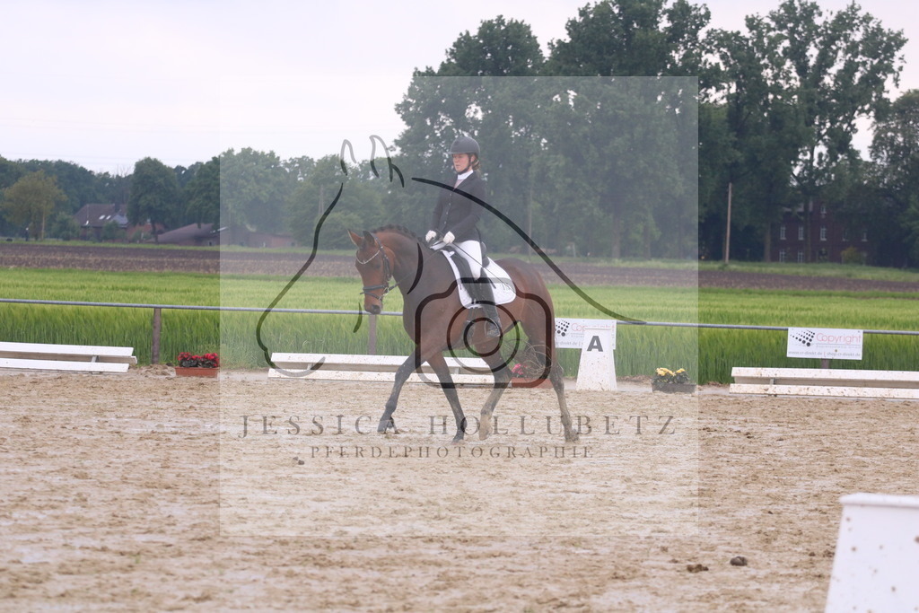 IMG_7142 | jessicahollubetz_pferdephotographie - Realisiert mit Pictrs.com