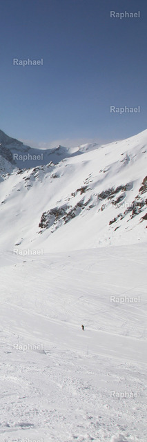 Paravent04 | Raphael - Realisiert mit Pictrs.com