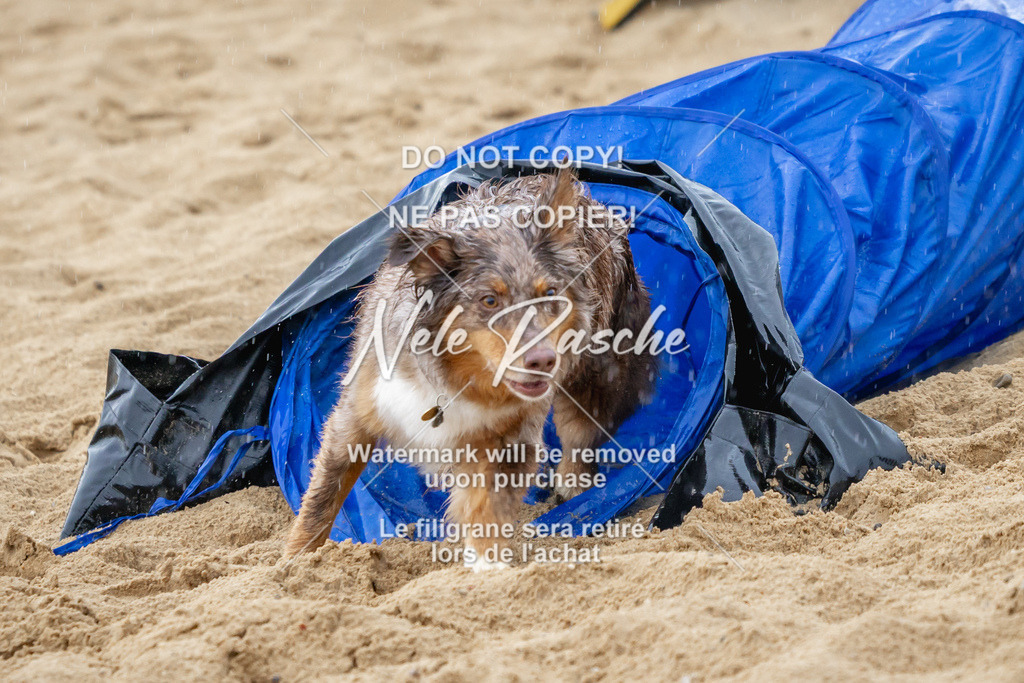 nelerasche_BuHu2026_So1430-1530_61 | nelerasche