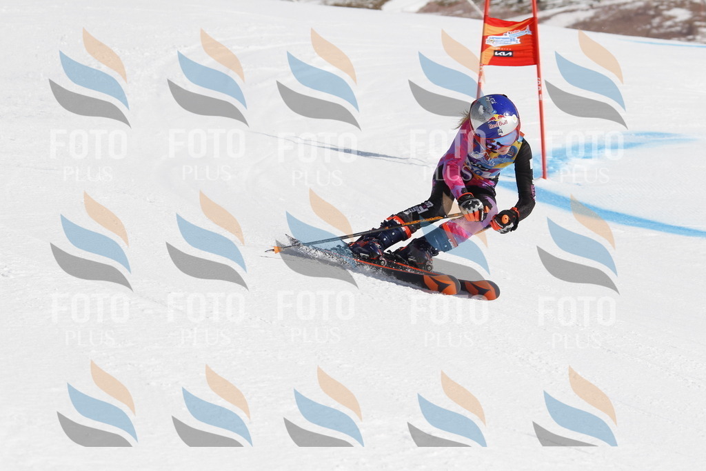 _U3G9212 | holidayphoto